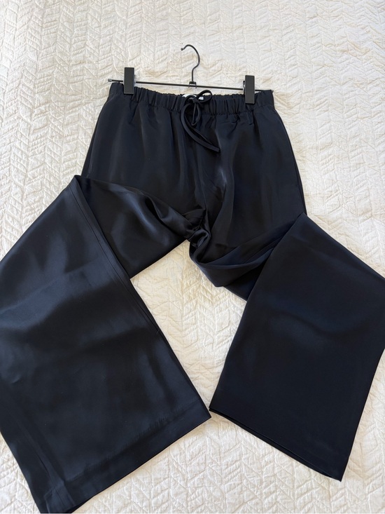 Aritzia Pants - Aritzia Wilfred Lodge Pant- Satin